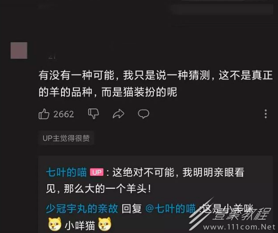 有没有一种可能是什么意思