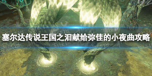 《塞尔达传说王国之泪》献给弥佳的小夜曲攻略 献给弥佳的小夜曲任务怎么做？