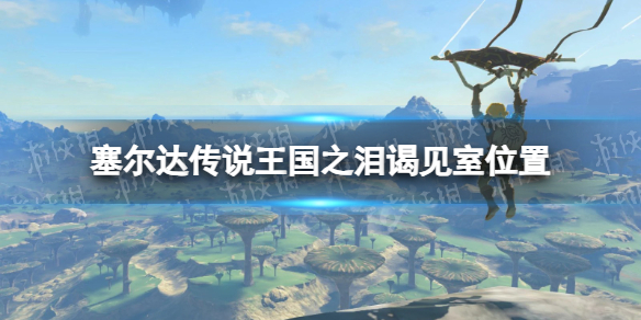 《塞尔达传说王国之泪》谒见室在哪？ 谒见室位置