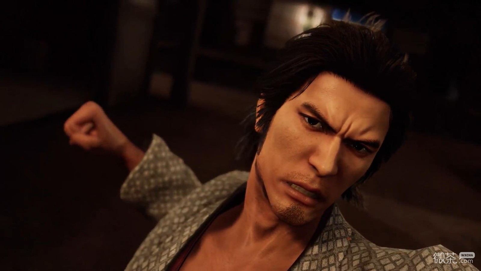 如龙维新极德使用方法攻略