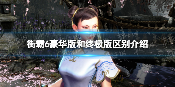 《街头霸王6》豪华版终极版有什么区别？ 豪华版和终极版区别介绍