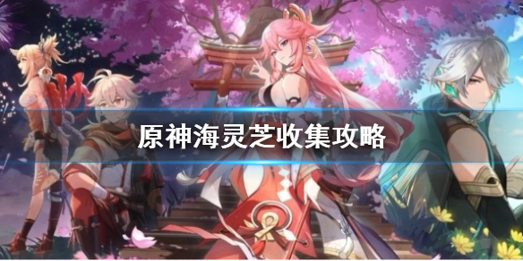 《原神》海灵芝收集攻略   海灵芝怎么收集？