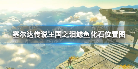 《塞尔达传说王国之泪》鲸鱼化石位置图 鲸鱼化石在哪？