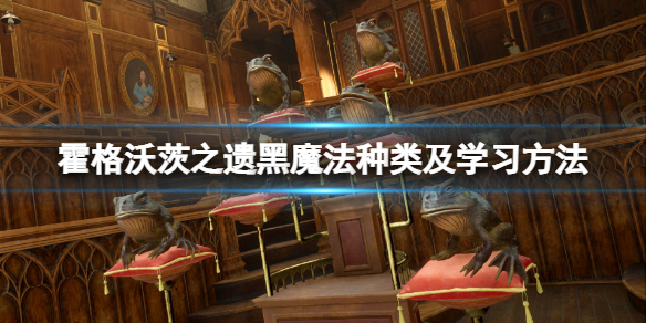 《霍格沃茨之遗》黑魔法怎么学？黑魔法种类及学习方法