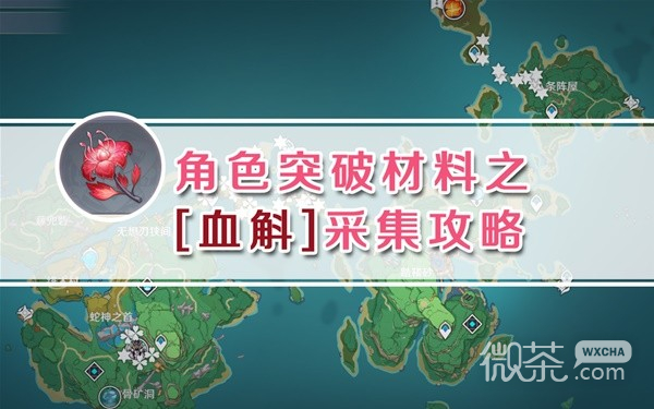 原神九条裟罗突破材料血斛采集路线攻略