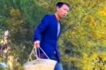 帅农鸟哥梗意思介绍