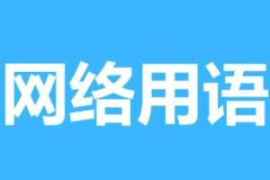 漏卡梗意思介绍