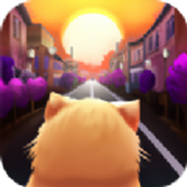 流浪街头猫中文版