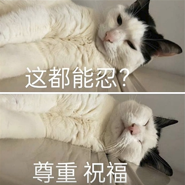 这都能忍尊重祝福是什么梗一览