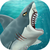 鲨鱼世界最新版