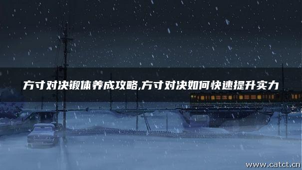 方寸对决锻体养成攻略