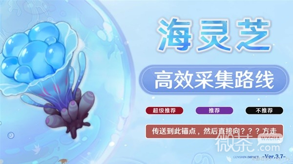原神3.7版海灵芝高效采集路线整理一览