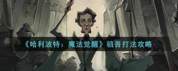 哈利波特魔法觉醒驺吾怎么打哈利波特魔法觉醒驺吾打法攻略