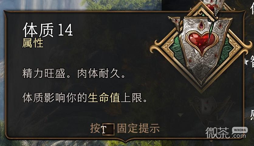 博德之门3怎么增加血量上限详情