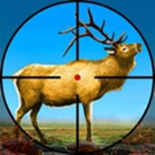 动物射击枪安装包
