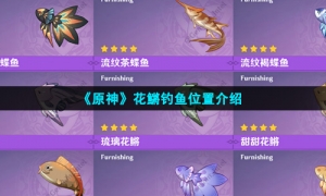《原神》花鱂钓鱼位置介绍