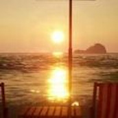 海滩度假模拟器游戏下载