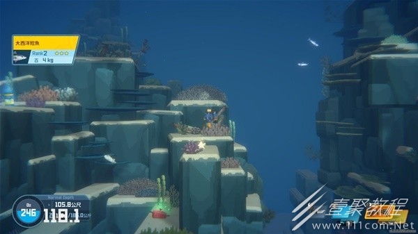 潜水员戴夫大西洋鲣鱼捕获位置分享