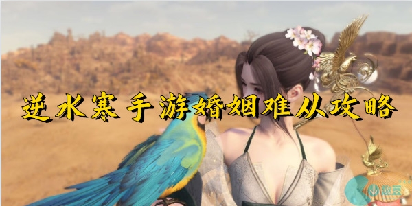 逆水寒手游婚姻难从怎么做-逆水寒手游婚姻难从攻略