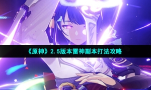 《原神》2.5版本雷神副本打法策略