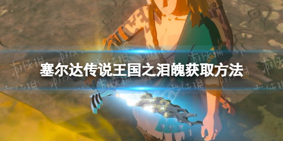 《塞尔达传说王国之泪》魄怎么获得？ 魄获取方法