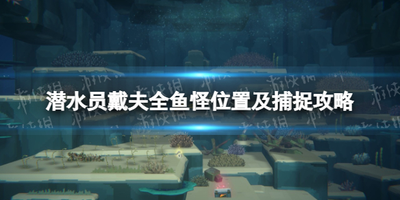 《潜水员戴夫》全鱼怪位置及捕捉攻略 鱼怪怎么抓？