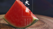网络用语大暑小暑有米也懒煮是什么梗