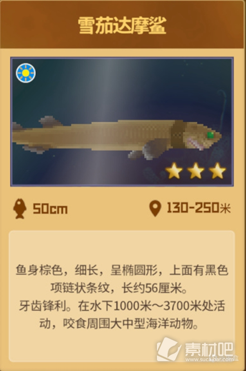 《潜水员戴夫》雪茄达摩鲨位置
