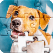 拼图花园下载最新版