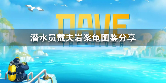 《潜水员戴夫》岩浆龟图鉴分享    岩浆龟怎么抓？