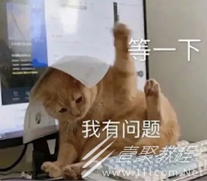 理解质疑成为梗的意思