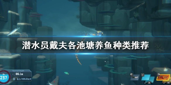 《潜水员戴夫》各池塘养鱼种类推荐     鱼怎么养？
