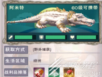 创造与魔法阿米特饲料配方说明