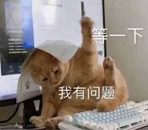 理解质疑成为梗是什么意思详情