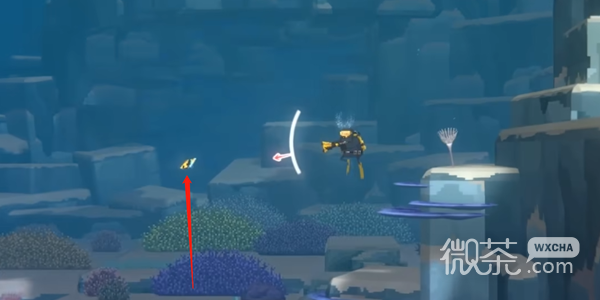 潜水员戴夫叉斑锉鳞鲀抓捕攻略分享