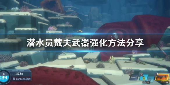 《潜水员戴夫》武器强化方法分享    武器怎么强化？