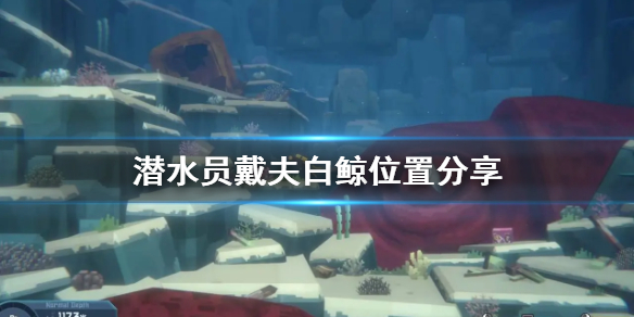 《潜水员戴夫》白鲸位置分享   白鲸在哪？