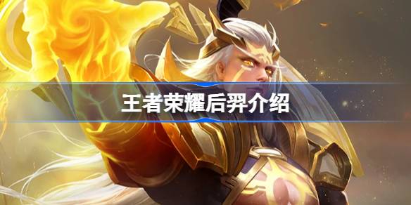 王者荣耀后羿什么样的(王者荣耀后羿介绍)
