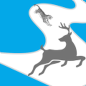 动物追逐奔跑安装包