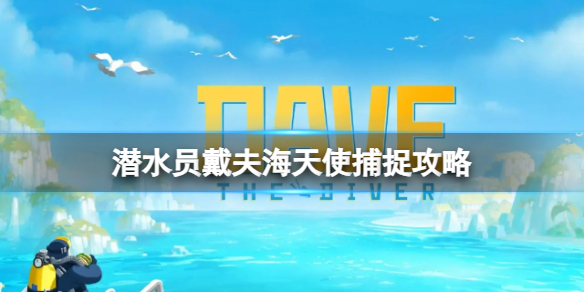 《潜水员戴夫》海天使在哪里捉？海天使捕捉攻略