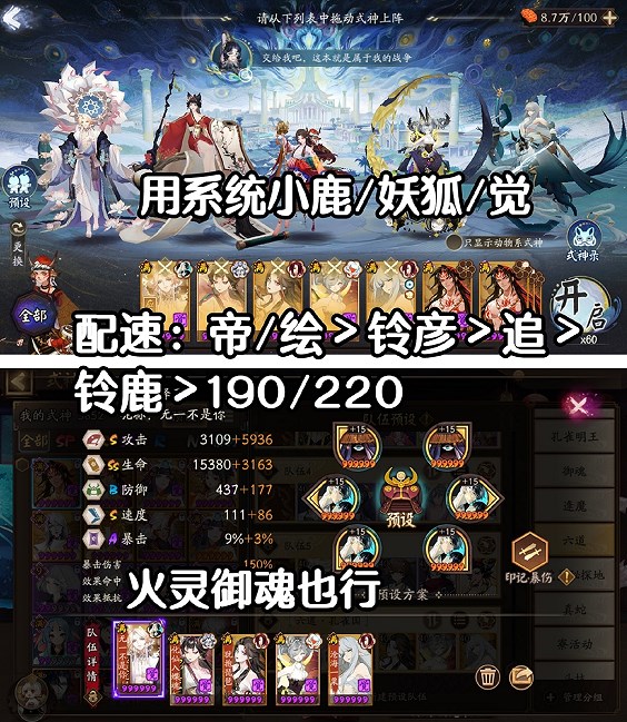 阴阳师六道之门孔雀国通用阵容有哪些