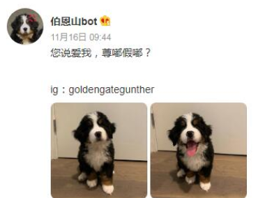 抖音尊嘟假嘟梗是什么意思详情