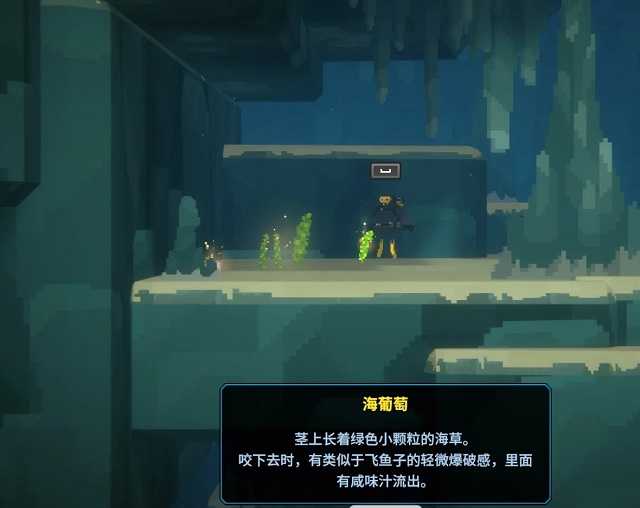 潜水员戴夫海葡萄在哪