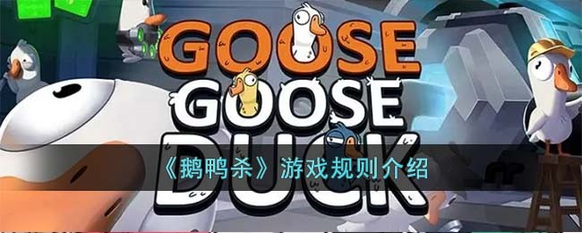 《鹅鸭杀》游戏规则介绍