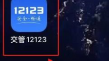 交管12123中缺考怎么处理交管12123中缺考的处理方法