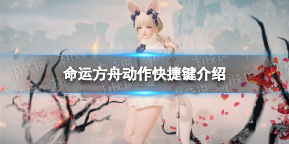 《命运方舟》动作怎么做？ 动作快捷键介绍