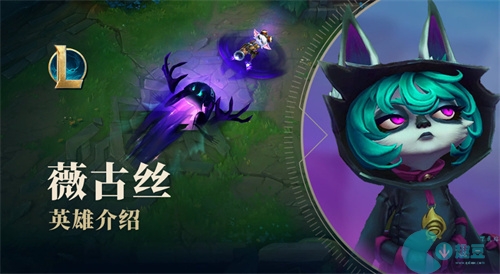 lol薇古丝是什么种族