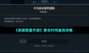《英雄联盟手游》禁言时间查询策略