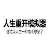 人生重开模拟器突破500岁