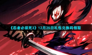 2021《忍者必须死3》12月25日礼包兑换码领取